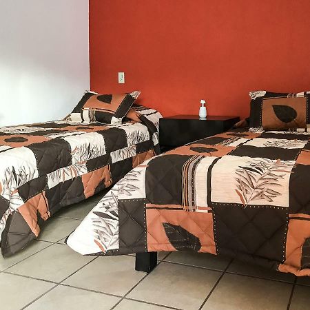 Comodo Departamento テキーラ エクステリア 写真